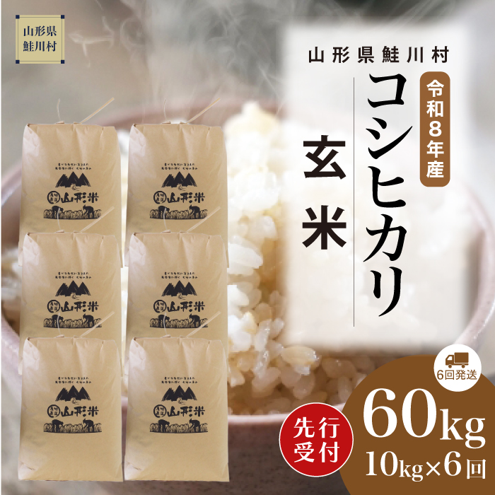 ＜令和8年産米先行受付＞ 山形県産 こしひかり 【玄米】60kg定期便(10kg×6回)　配送時期指定できます！
