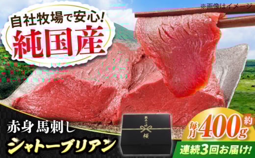 【全3回定期便】『純国産』熊本の味 赤身 馬刺し シャトーブリアン 計約400g（約200g×2パック）チルド 冷蔵 ブロック【有限会社 九州食肉産業】 [AYCN065]
