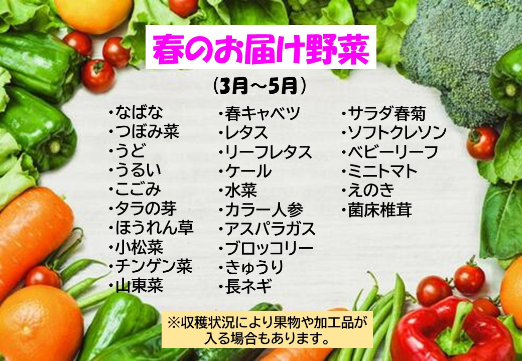 この中から7品以上発送します。※収穫状況によって果物・加工品（納豆・味噌・漬物など）が入る場合があります