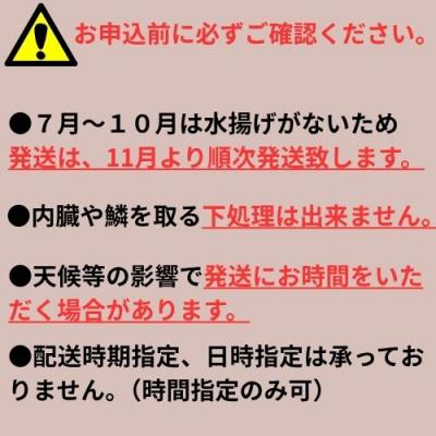 ふるさと納税 奈半利町 定置網朝どれ鮮魚ボックス6kg　133003 |  | 02