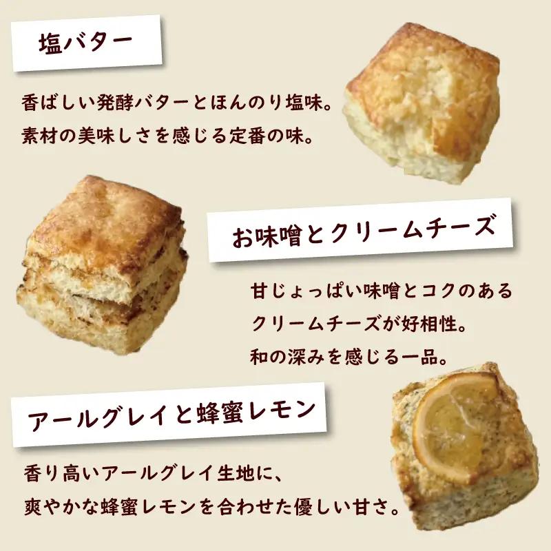 スコーン 10個 セット 5種 【 スコーン 】