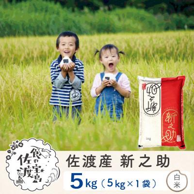 ふるさと納税 佐渡市 佐渡島産新之助 白米5Kg 令和7年産【食の宝島佐渡】