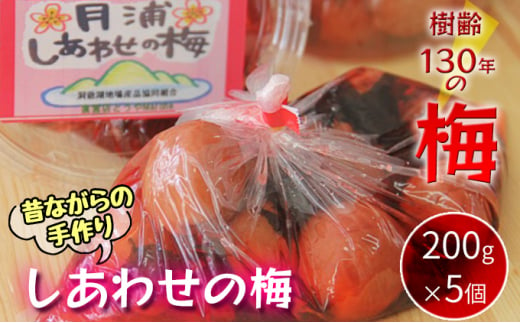 
北海道・樹齢130年の梅漬け「しあわせの梅」1kg（200g×5個）
