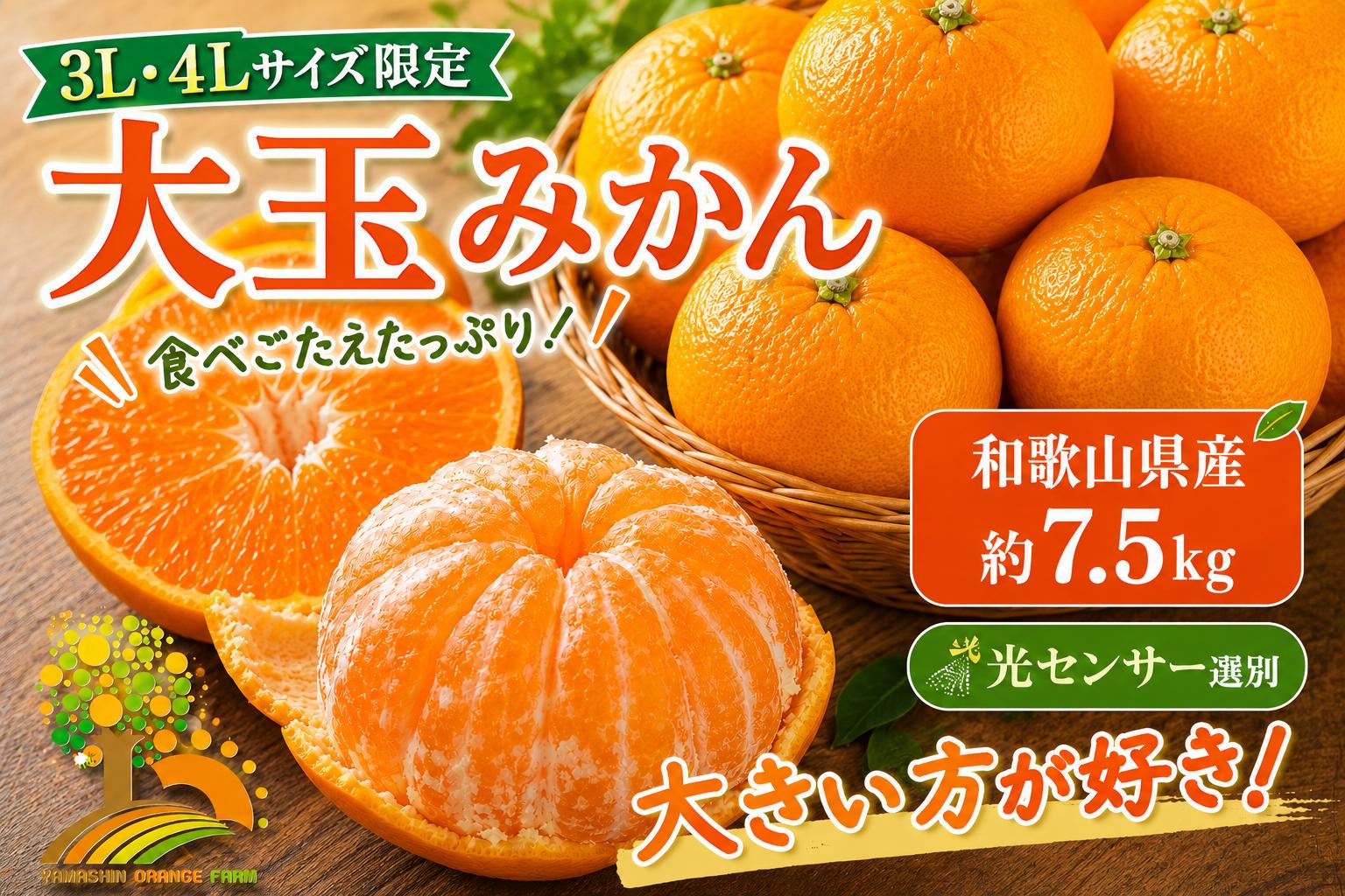 
                  有田みかん 約7.5kg 大玉3L以上 有機質肥料100% ＼光センサー選別／ 農家直送 ※北海道・沖縄・離島への配送不可 ※2025年11月中旬～2026年1月上旬頃に順次発送予定
                