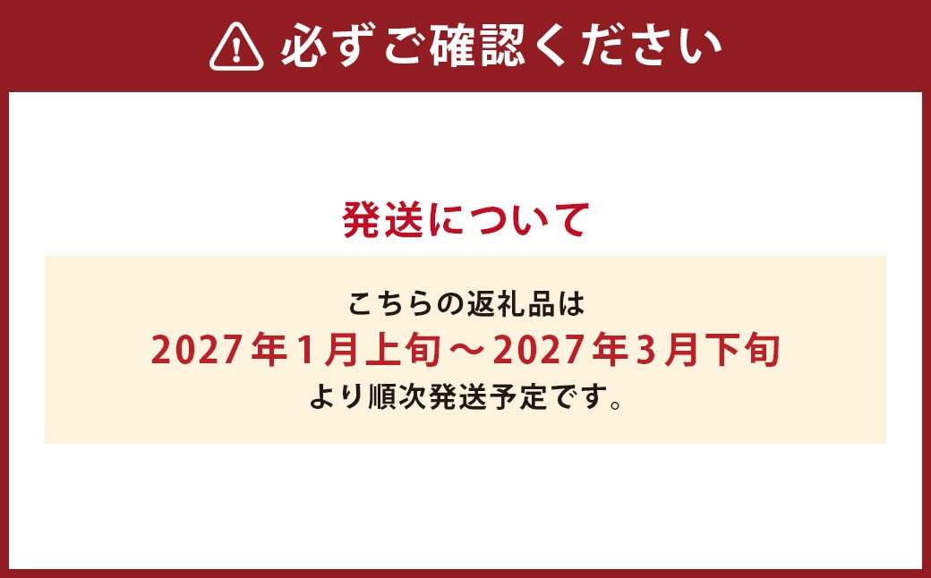 新玉ねぎ約10kg