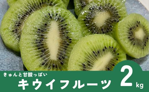 キウイ 2kg 愛媛 国産キウイフルーツ ヘイワード 【2025年11月発送】 数量限定 伊予市｜A20