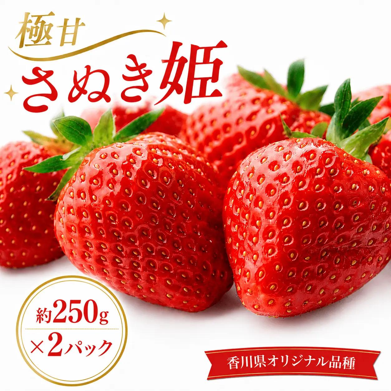 【2月から発送】 いちご 極甘さぬき姫 約250ｇ×2パック いちご