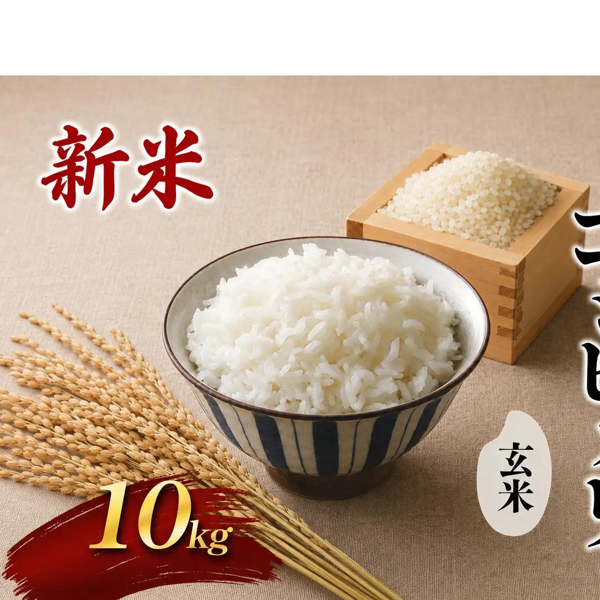 コシヒカリ 玄米 10kg 令和8年産 新米 香川県産 国産 米 こしひかり 國方 良食味 炊きやすい 健康食 10キロ ご飯 ごはん 国産米 水主 米所 銘柄米 全国的な銘柄 令和8年 東かがわ市産 きれいな水 田んぼ お米 香川 香川県 東かがわ市