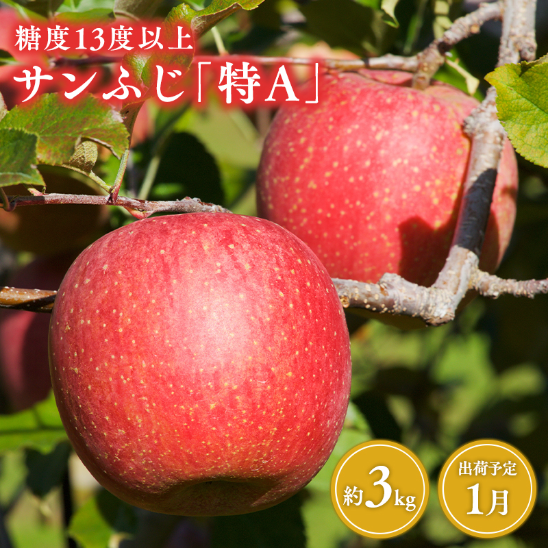 1月 サンふじりんご「特A」約3kg 糖度13度以上 【森山商店・平川市・青森りんご・1月】