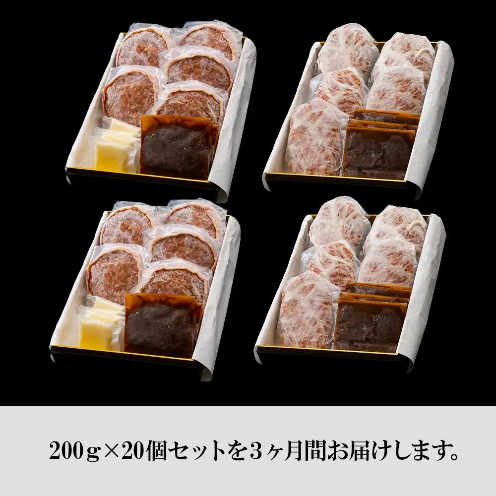 定期便3カ月 お楽しみ 白老牛 2種 食べ比べ ハンバーグ セット 合計20個 BY109