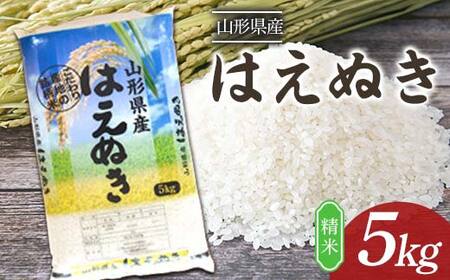 はえぬき 5kg 山形県産 精米 【令和7年産】 F2Y-4603
