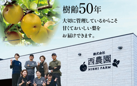 【先行予約】豊水梨 5kg前後（8～14個）新鮮ジューシー梨【2026年8月下旬以降順次発送予定】 [A-15004]