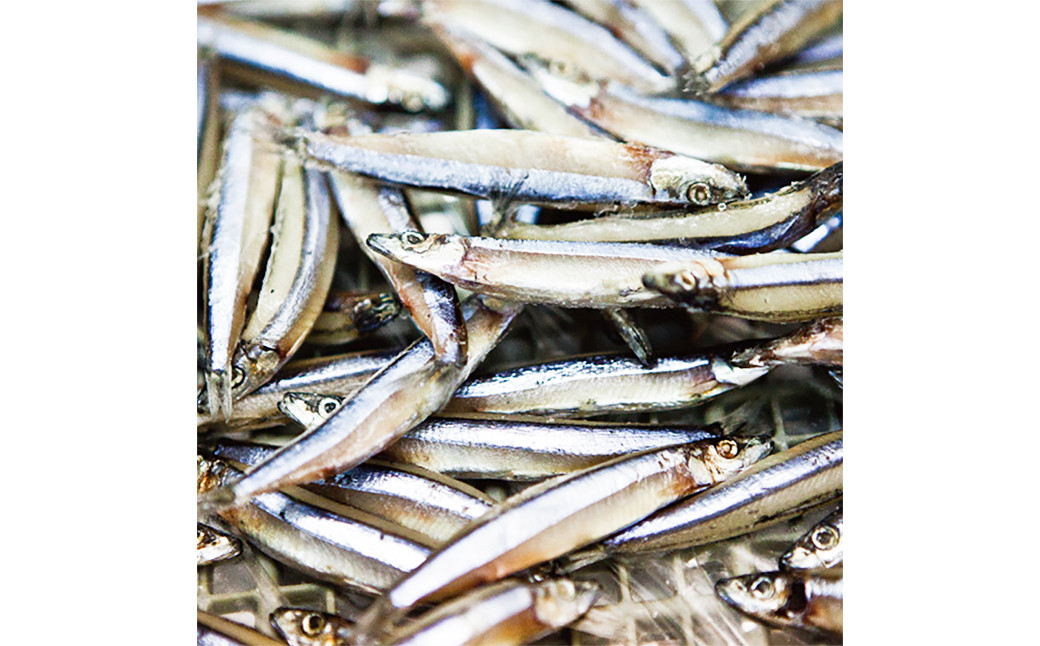 一夜干しざんまいセット 干物 ひもの 魚介 海鮮 海産物 真空パック おかず おつまみ