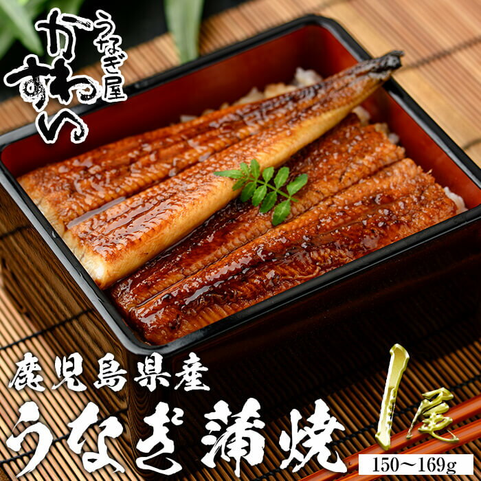 【ふるさと納税】＜うなぎ屋かわすい＞鹿児島県産 国産うなぎ蒲焼 (1本・150～169g) タレ入り 鰻 ウナギ うなぎ うな重 ひつまぶし かばやき 国産 鹿児島県産 冷凍 かわすい 【川口水産】
