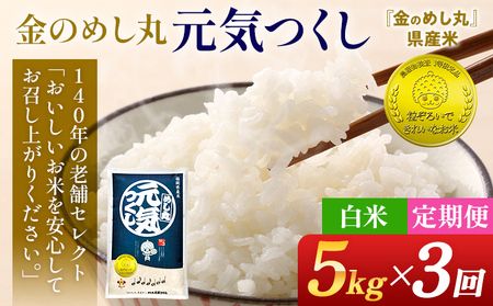 【3回定期便】 令和8年産 白米 金のめし丸 元気つくし 5kg 定期便 3ヵ月 福岡 お米 米 ごはん ご飯 お弁当 おにぎり 金のめし丸県産米 福岡ブランド米 めし丸 ライス rice 飯