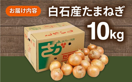 白石産たまねぎ 10kg / たまねぎ 玉ねぎ [IAK011]