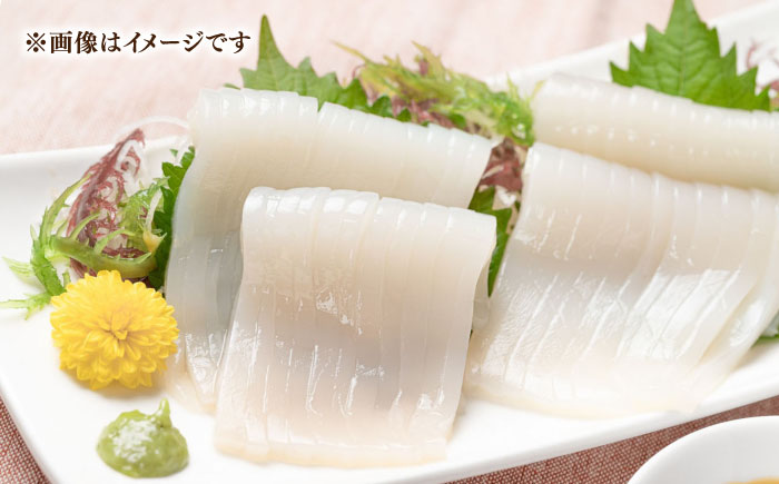 【年内発送】旬のイカ刺身1kg前後《壱岐市》【馬渡水産】イカ いか 烏賊 剣先 アオリ あおり スルメ するめ 刺身 刺し身 お刺身 海鮮 魚貝 冷凍配送 産地直送 [JAQ027]