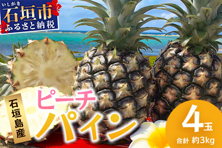 【先行予約】《2025年5月上旬頃より順次発送》石垣島産 ピーチパイン (4玉 約3㎏) 【 産地直送 沖縄 石垣 パイナップル フルーツ 】石垣さんちの石垣トロピカルファーム TP-11
