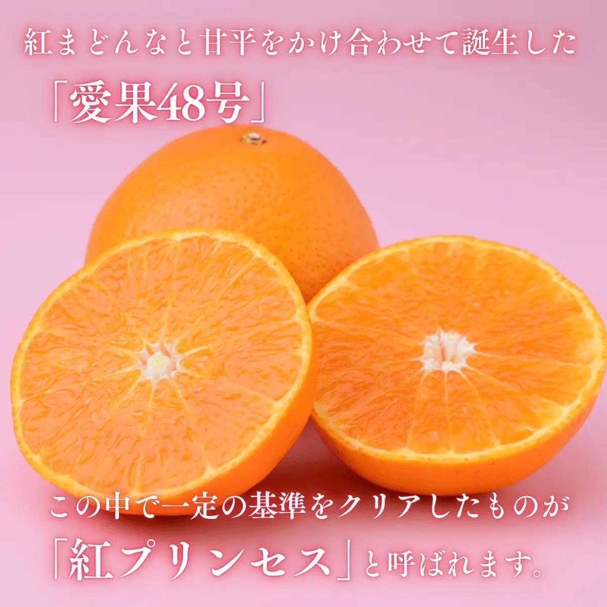 【先行受付】紅プリンセス 5kg 秀 M～４Lサイズ | 紅まどんな × 甘平 みかん 愛媛 愛媛県産 ミカン 蜜柑 愛果48号 新品種 柑橘 かんきつ フルーツ 果物 国産フルーツ 国産 愛媛みかん