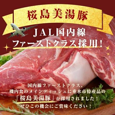 ふるさと納税 垂水市 鹿児島県産 桜島 美湯豚 棒メンチカツ 計6本 3本入×2P【大隅ミート産業】W-0407 |  | 01