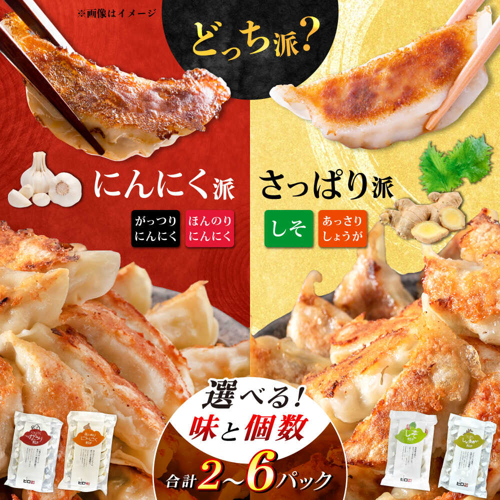 【ふるさと納税】【年内発送】【あなたはどっち派？】選べる餃子2種セット！【餃子屋ヒロ】開成町 餃子　点心 惣菜 冷凍[BDAS008]