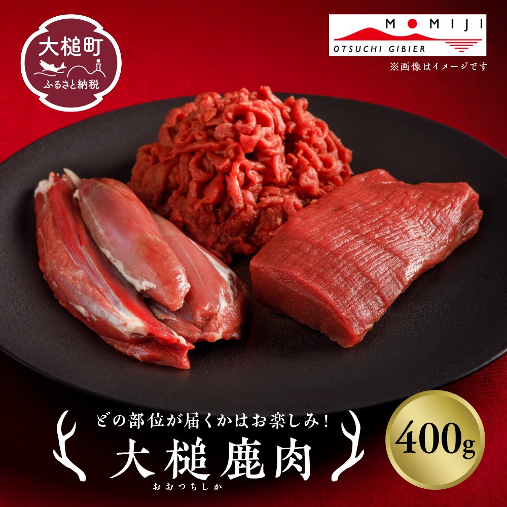 【ジビエ】大槌産 鹿肉400g【0tsuchi00458】