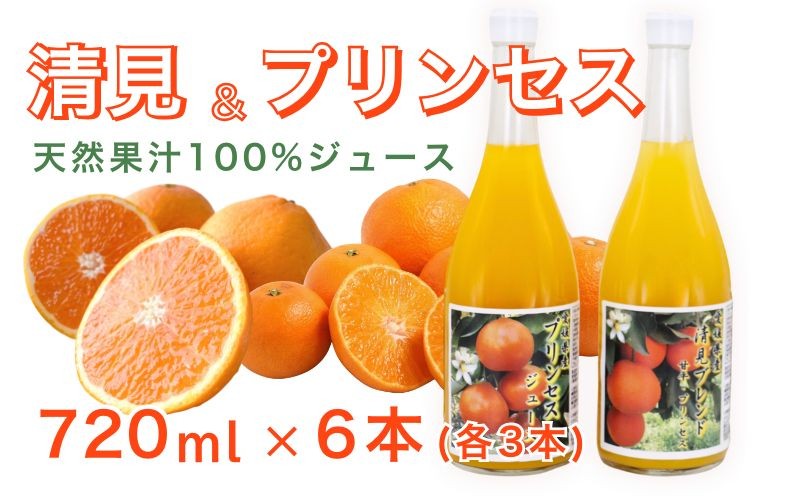 
                  清見ブレンドジュース プリンセスジュース ストレート 各720ml × 3本 6本セット 中山農園 みかん 蜜柑 清見 プリンセス 甘平 ジュース ストレートジュース ミックスジュース オレンジジュース 100％ フルーツ ストレート  柑橘 果汁 無添加 農家直送 産地直送 数量限定 国産 愛媛 愛南 なくなり次第終了
                
