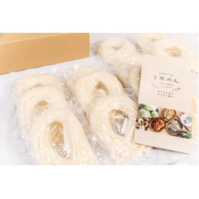ふるさと納税 須賀川市 グルテンフリー 米粉で作った麺「う米めん」100g×30食