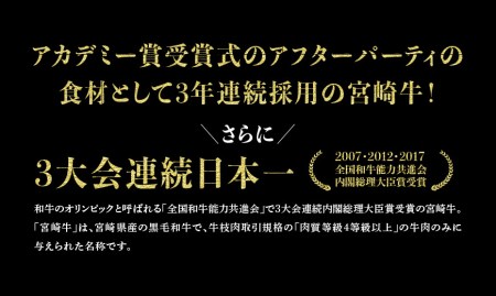 宮崎牛 焼肉 6種 食べ比べセット【肉 牛肉 国産 黒毛和牛 牛 宮崎牛 牛 肉質等級4等級以上の牛肉 牛 ヒレ カルビ ロース カタロース モモ ウデ 焼肉セット 牛肉】