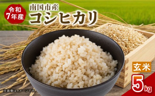 令和7年度 南国市産 コシヒカリ 玄米 5㎏ | 数量限定 米 コメ お米 ご飯 おにぎり こめ 弁当 南国市米 高知県 南国市 AH001