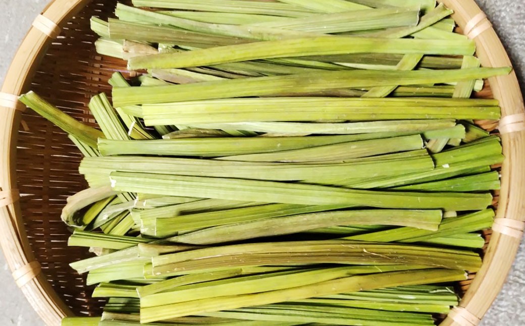 【6ヶ月定期便】乾燥パパイヤの茎 50g（約20本-30本）×6セット