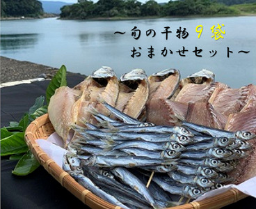 旬の干物９袋おまかせセット　【R00771】