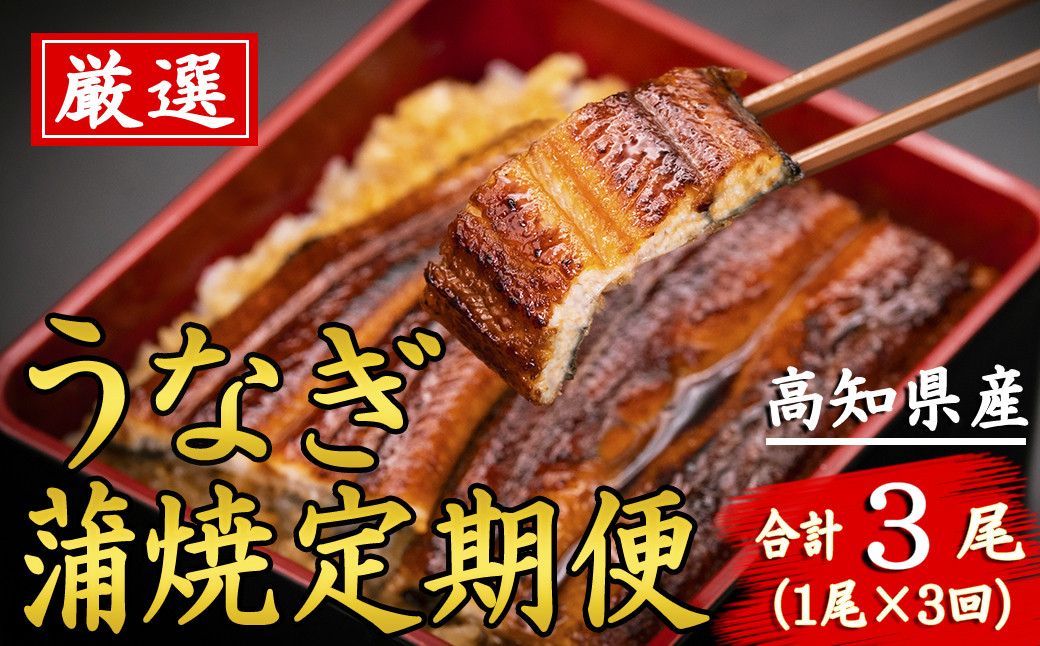 
91-12 厳選!!高知県産うなぎの蒲焼き(1尾) 3回定期便
