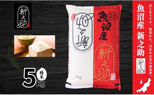 米 5kg 令和7年産 新米 中魚沼産 新之助 | 魚沼産 しんのすけ お米 おこめ 米 こめ コメ 白米 精米 ご飯 ごはん ブランド米 おすすめ ギフト プレゼント 新潟県 津南町