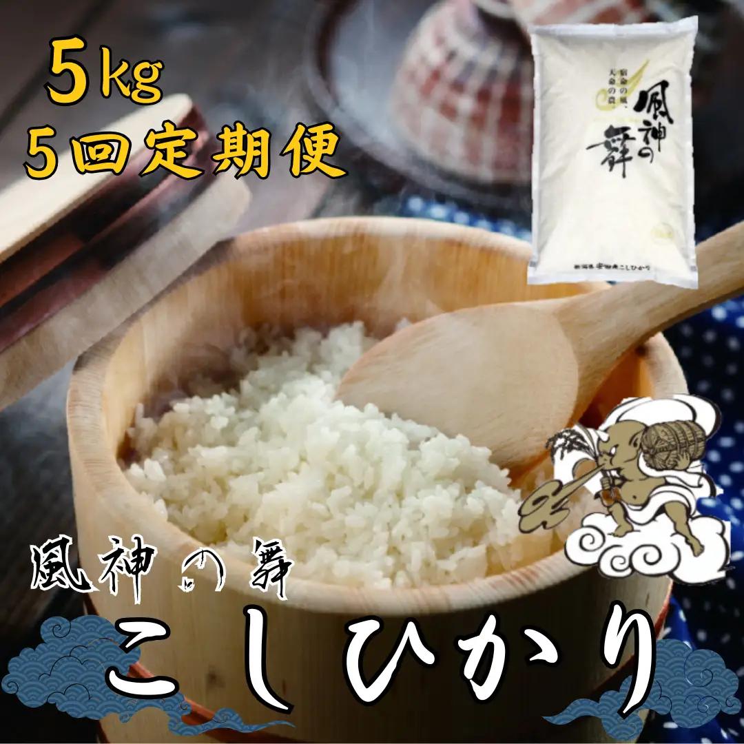 【令和8年産新米】【5回定期便】風を宿命として農に生きる「風神の舞」コシヒカリ 5kg 新潟県 米 こめ コメ 新米  令和8年産 1W09051