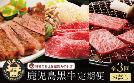 【JA食肉かごしま】鹿児島黒牛お試し定期便（全3回） 和牛日本一の「鹿児島黒牛」 お肉 ステーキ すき焼き しゃぶしゃぶ 国産 黒毛和牛 和牛 牛肉 冷凍 定期便 JA食肉かごしま 南さつま市