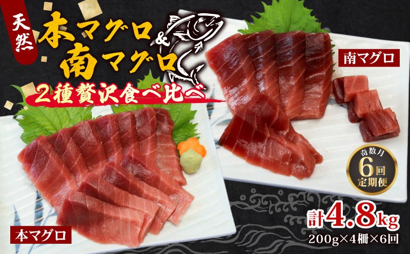 
            【6回定期便】天然本マグロ 天然南マグロ 中トロ 各2柵 奇数月にお届け 頒布会まぐろ 鮪 海鮮 冷凍 さしみ 刺身  高知 室戸 マグロ
          