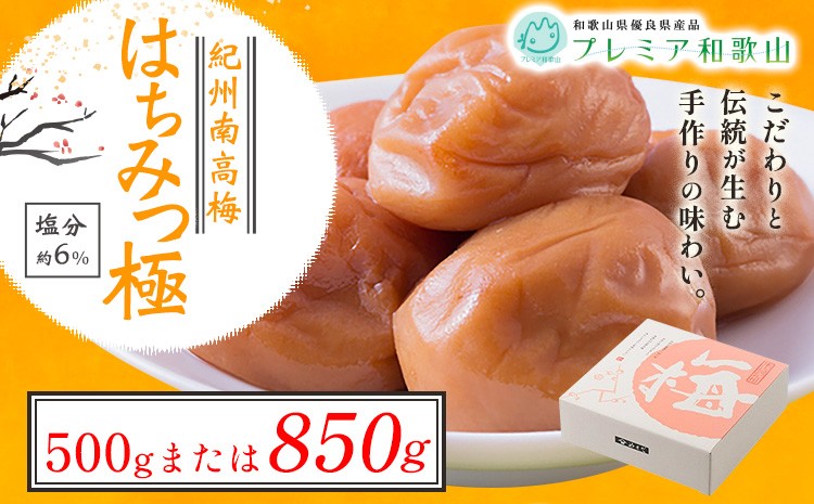 
                  梅干し 紀州南高梅 はちみつ 極 塩分 約6% 500g 850g 1パック 《60日以内に出荷予定(土日祝除く)》 株式会社やまだ 和歌山県 日高町 梅 はちみつ梅 梅干し 米 おかず 国産 送料無料
                