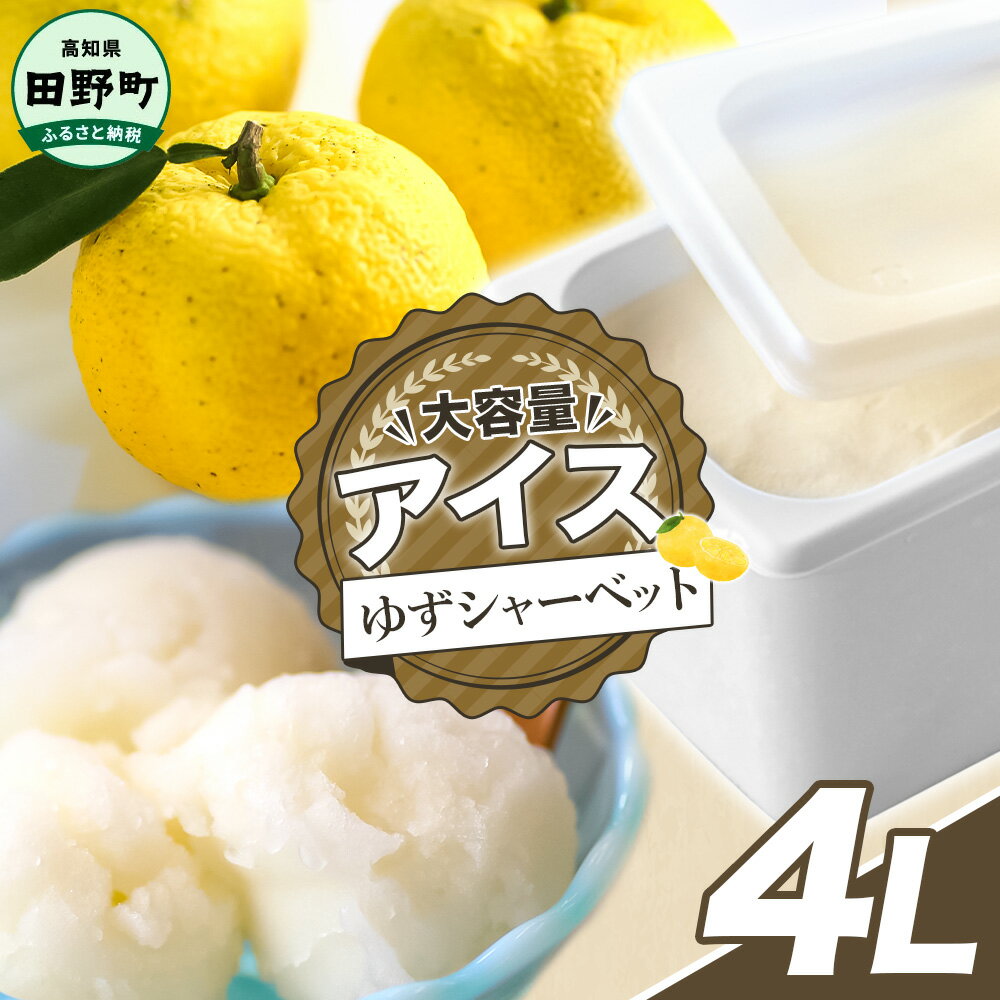 【ふるさと納税】四国一小さなまちのアイス屋さん ゆずシャーベット 大容量 アイス 4000ml 4L 業務用 4リットル デザート スイーツ お菓子 アイス 柚子 ユズ 大容量 いっぱい 松崎冷菓 取り寄せ お取り寄せ 限定品 高知県 田野町 ふるさとのうぜい 故郷納税 ご当地 大量