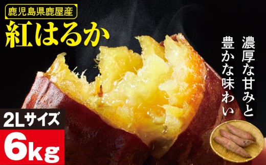 鹿児島県鹿屋産 紅はるか 生芋 2Lサイズ 6kg　KN021-043-02