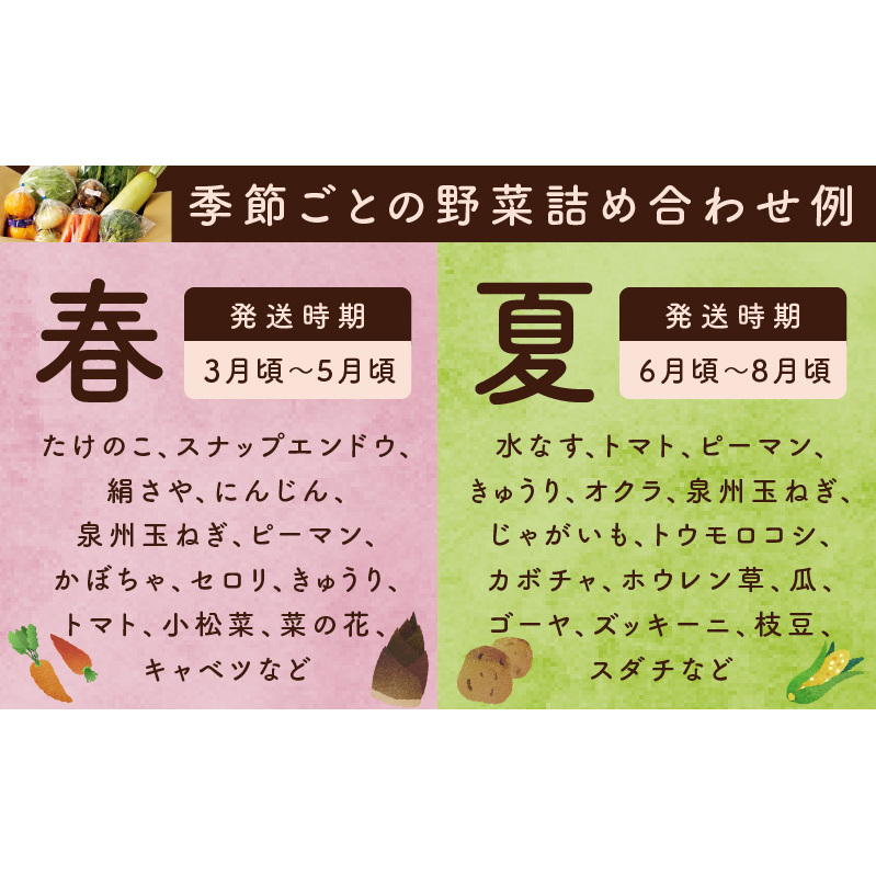 【家計応援】野菜セット 8種類【詰め合わせ 国産 旬 お試し おまかせ お楽しみ 期間限定 スピード発送】 005A443a_イメージ4