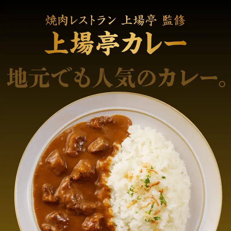 上場亭 カレー（中辛）10箱 ／ 佐賀県産和牛 カレー 【A208】