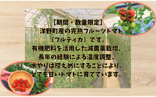 水分調整にこだわって育てています