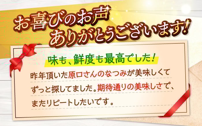 なつみ 5kg みかん マンダリン