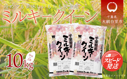 令和8年産 千葉県産「ミルキークイーン」10kg（5kg×2袋） 　A007