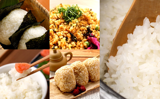 【2025年11月下旬発送開始】 新米 大粒厳選 ひとめぼれ 精米 10kg 【雫石八十八屋】 節減対象農薬：岩手県地域比5割減 化学肥料（窒素成分）：岩手県地域比5割減 ／ 米 白米