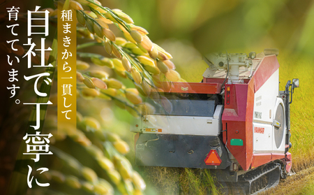 ≪都農町産≫新米コシヒカリ(玄米)5kg 米 お米 ご飯 国産_T031-003