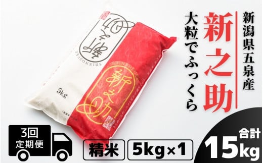 【令和7年産】〈3回定期便〉 新之助 精米 5kg（5kg×1袋）新潟県 五泉市 有限会社ファームみなみの郷