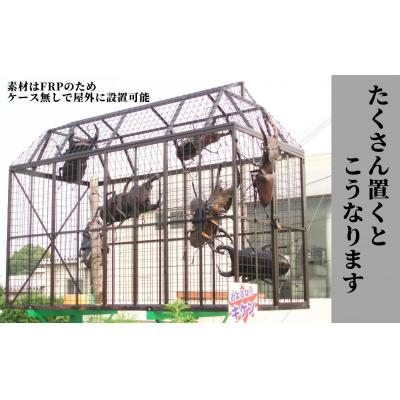 ふるさと納税 三宅町 ミヤマクワガタ大型リアル模型(透明ケース付) |  | 02
