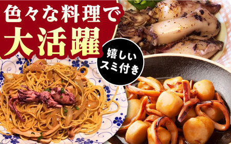 おスミ付き！ 訳アリ 剣先イカ 1.8kg(3パック)≪対馬市≫【対馬地域商社】 冷凍配送 新鮮 いか 簡単調理 産地直送 小分け イカスミパスタ[WAC051]